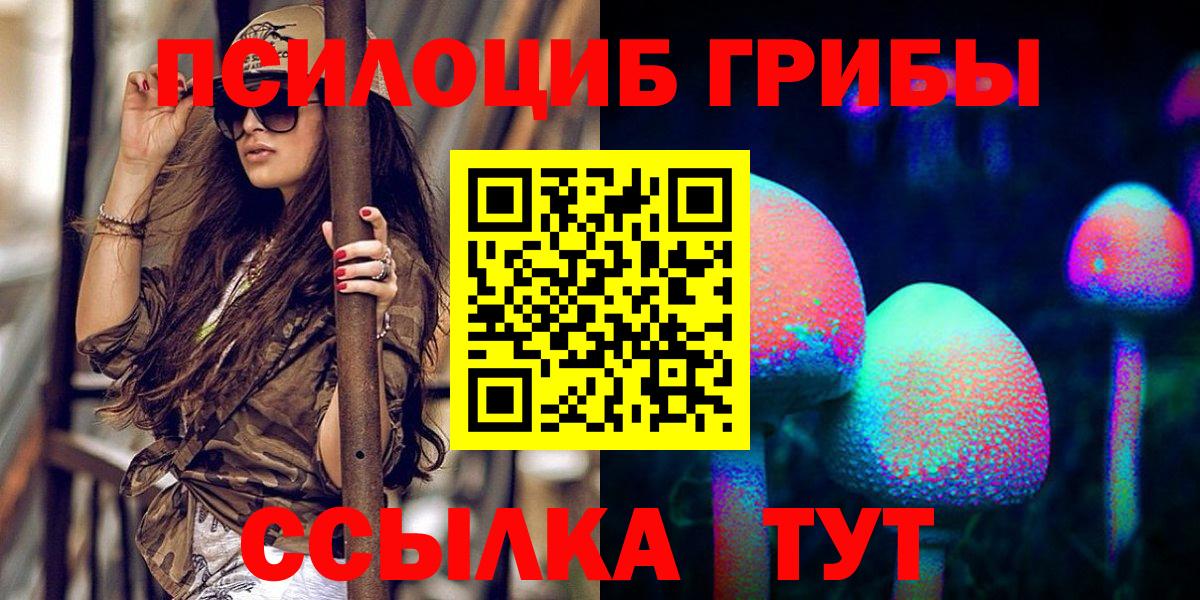 Псилоцибиновые грибы GOLDEN TEACHER Советск