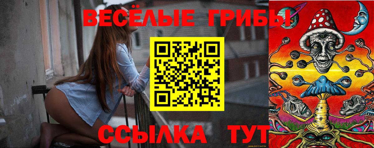 Псилоцибиновые грибы Psilocybe  Вход с VPN  Советск 